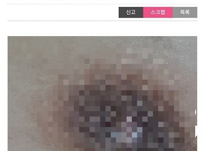 젖꼭지 실종된 언니.....