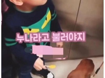 이모 이 누나 만져봐도 돼요?