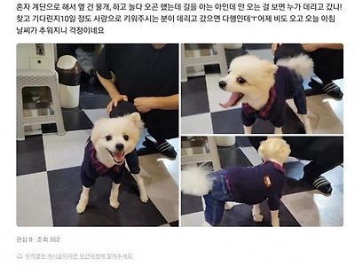 모텔 손님이 숙박비 대신 두고간것