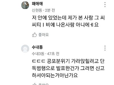 칼부림 공범 2명이라는 글 미스터리 한점