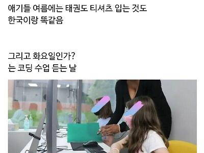 태권도 다니는 미국 초딩들