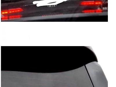 늑대와 사자의 이종교배 ㄷㄷ..JPG