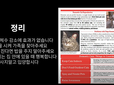 캣맘은 정신병이다.