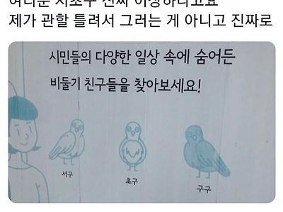 더위에 미쳐버린 서초구 공무원