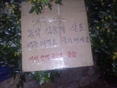 시골 농작물 함부로 서리하면 안되는 이유