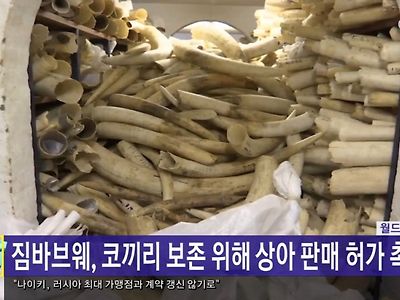 짐바브웨 근황.news