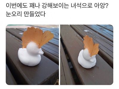 꽤나 폭주족 같은 눈오리