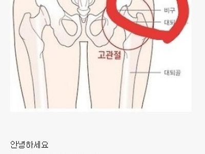 사람들이 잘 모르는 여성의 성감대