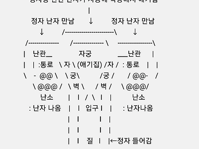 싱글벙글 유튜브 댓글로 알아보는 여성 성기 구조