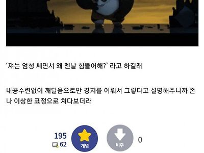 의외로 정확한 쿵푸팬더에 대한 해설