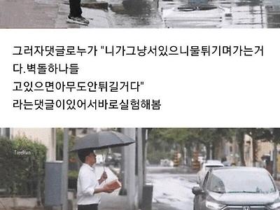 물웅덩이 사회실험