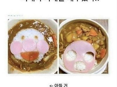 아내가 카레를 해주었다..