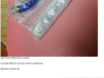 누나방에서 이상한 물건을 발견한 디시인.jpg