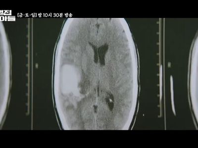 재벌집 막내아들 진양철 진단