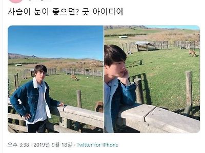 진 아재개그에 대한 입장표명