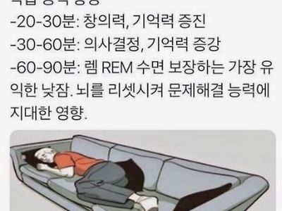 낮잠을 자야하는 이유