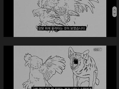 이슬람식 와이프 고집 꺾는 법