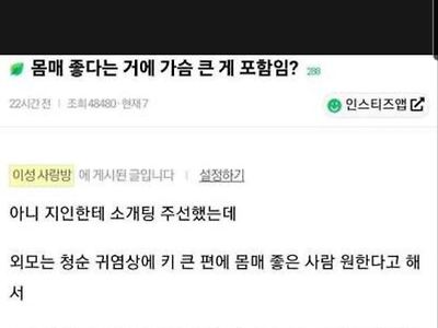 몸매 좋다는 거에 왜 가슴 큰 게 포함이냐는 여시들.jpg