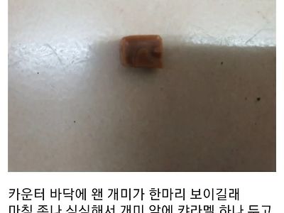 편의점 갤러리에 나타난 악마