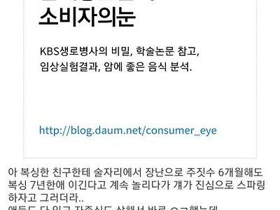 ㅋㅋㅋ현실판 주짓수 vs 복싱 후기