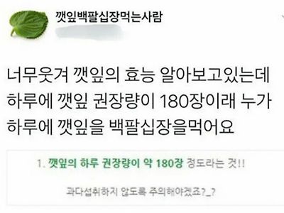 깻잎 1일권장량