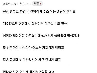 디씨에서 신상 함부로 까면 안되는 이유