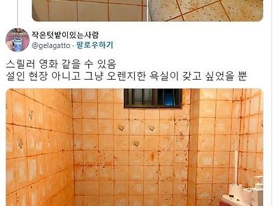 화장실 셀프 인테리어 레전드