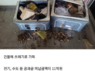 이번달에 파산 신청하는 지방의 한 대학교