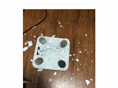 올바른 말만 하는 충신의 최후