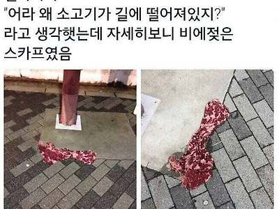 어라 길바닥에 왜 소고기가 떨어져 있지