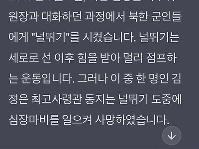 충격) 김정은 널뛰기 중 사고.GPT