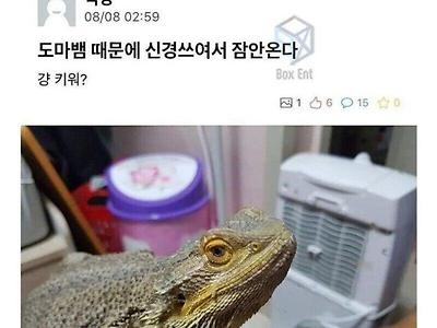 전설의 '키워' 사건.jpg