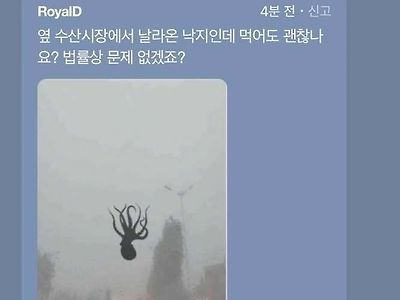 낙지 먹어도 되나요?