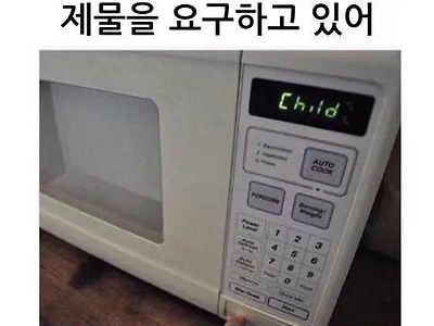 전자렌지에 이상한게 들어왔다