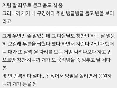 옛날에 아는 개 며칠 봐줬는데