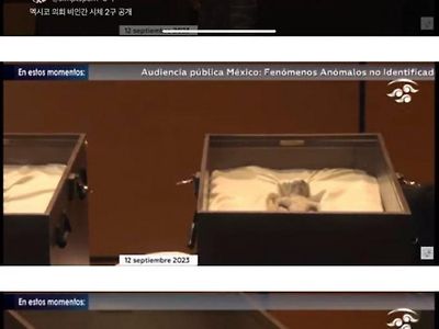 현재 멕시코 의회 상황(사실 확인x)