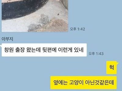 출장가 있는 아빠가 보내 온 사진