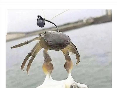 쟤도 잡아가줘요.jpg