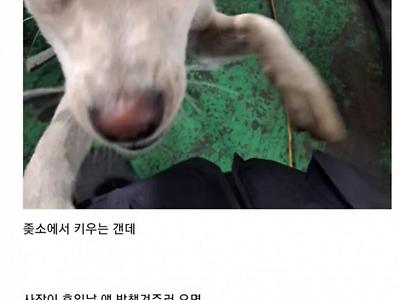 휴일날 공장에 불려 나온 사람