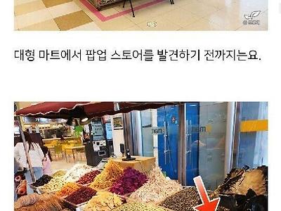 집에서 미역을 기르는 방법.jpg