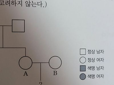 꼬으다가 이상해진 고딩 문제