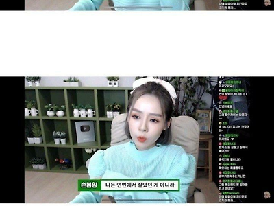 중국 담당 일진 탈북녀 손봄향