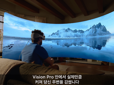 애플 비전 프로 공개 후 VR 커뮤니티 상황 .....jpg