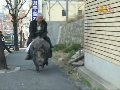 약한 사람은 살아남을 수 없던 2000년대 초반