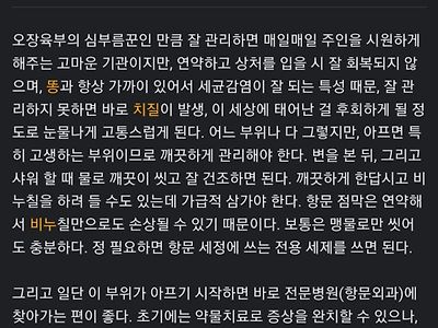 똥꼬 좀 함부로 하지 말라...