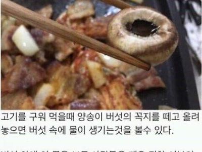 버섯 안에 고이는 물의 진실.jpg