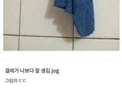 이젠 하다하다 걸레가 나보다 잘생겨보임