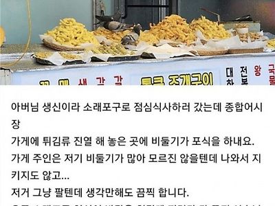 소래포구 비둘기 뷔페