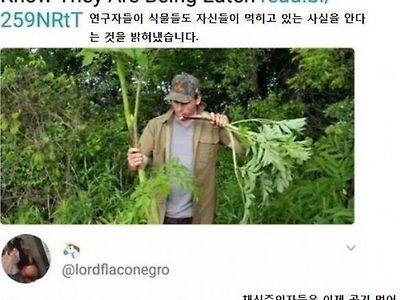 채식주의자들에게 희소식