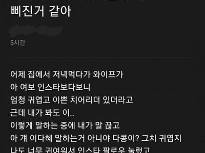 이다혜 치어리더 때문에 ㅈ된 유부남